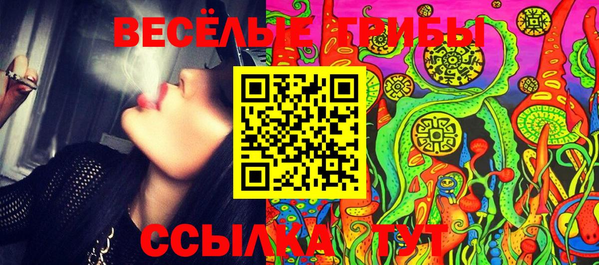 Псилоцибиновые грибы GOLDEN TEACHER  Псилоцибиновые грибы прущие грибы  Вход с VPN  Зеленодольск 